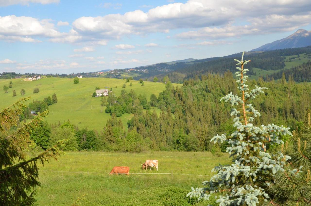 Pensjonat Śleboda wynajem pokoi Ewa Satoła Biały Dunajec Zewnętrze zdjęcie
